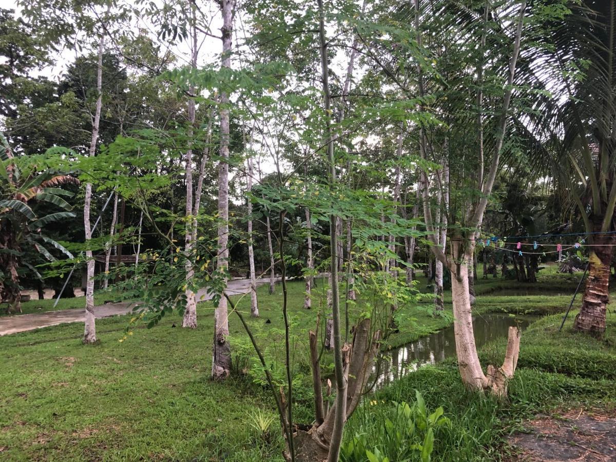 Grace Guesthouse Kota Belud Екстериор снимка